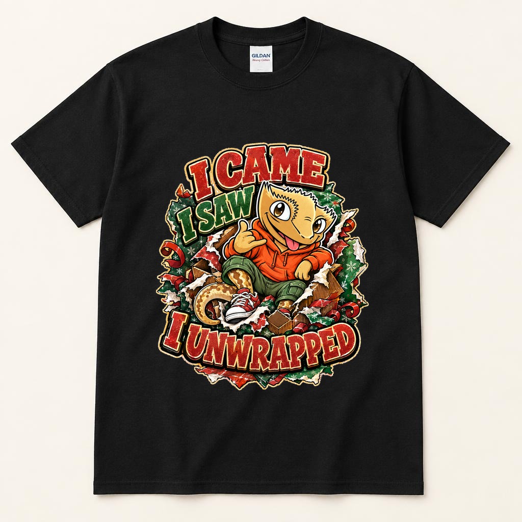 I Came I Saw I Unwrapped black tee